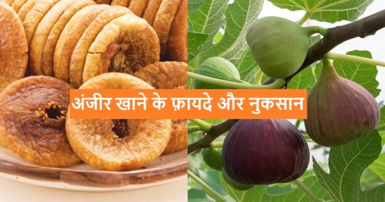 9 Benefits of Fig | Anjeer ke Fayde | LovHind