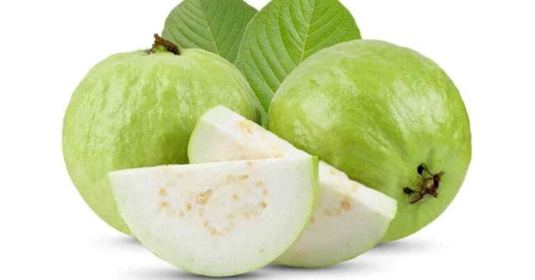 Benefits of Guava