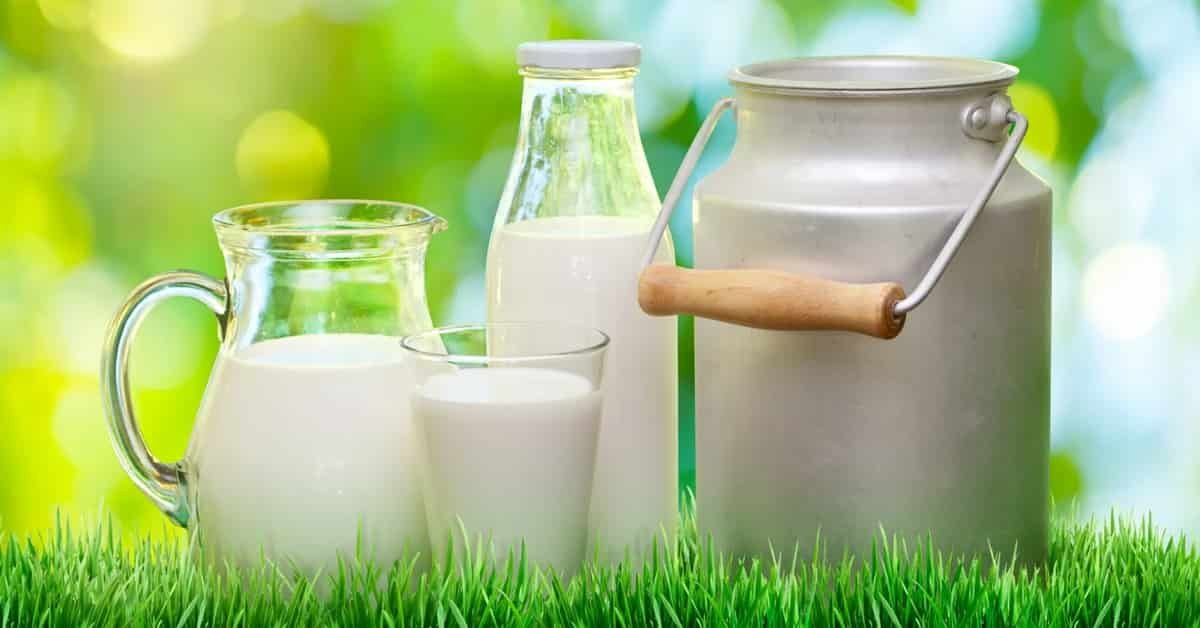 Benefits of Milk