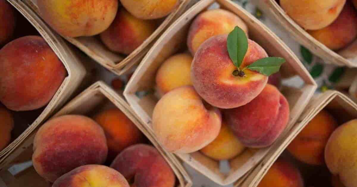 Benefits of Peach