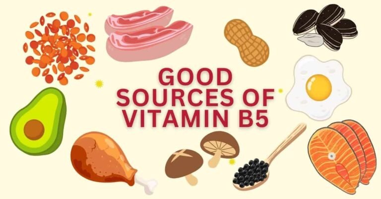 Benefits of Vitamin Pantothenic acid (B5)