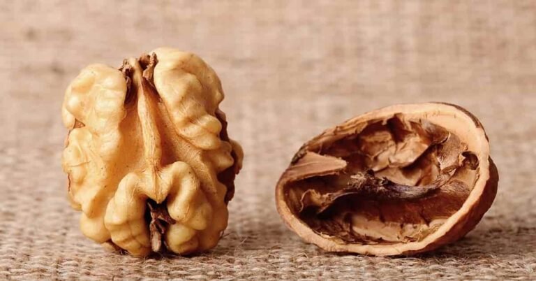 Benefits of Walnut | Sahil Sir