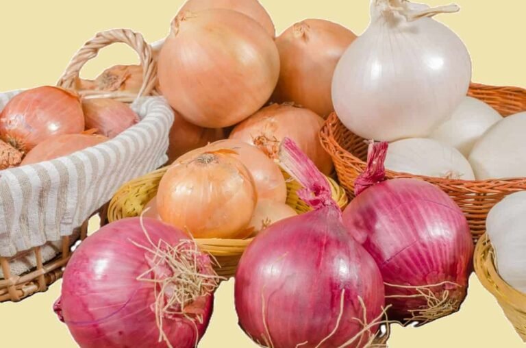 Benefits of Onions