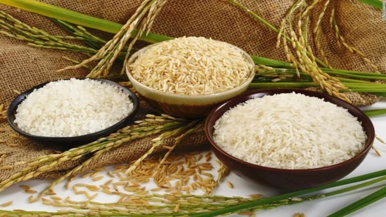 Benefits of Rice