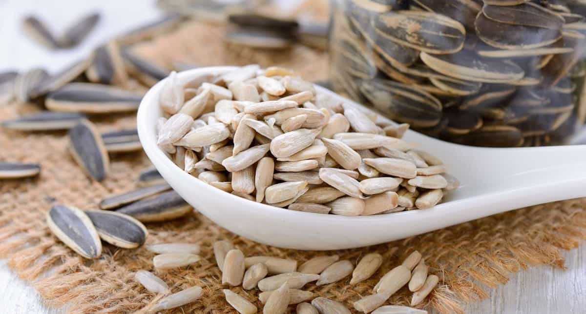 Benefits of Sunflower seeds