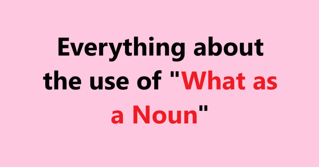 Everything about the use of "What as a Noun"