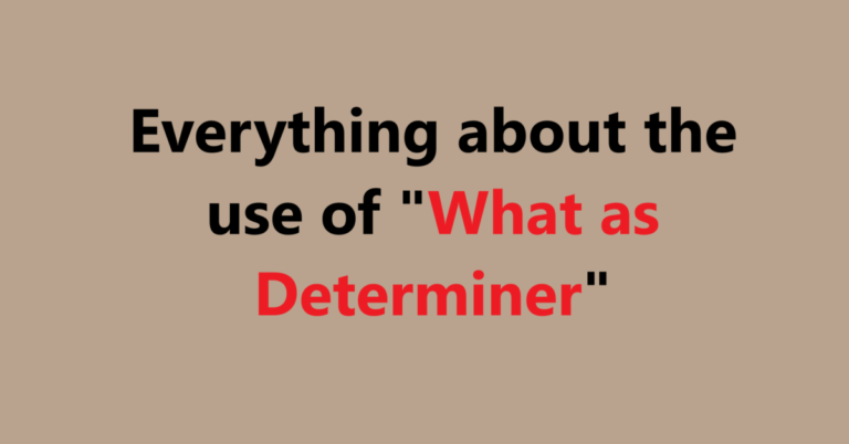 Everything about the use of "What as Determiner"