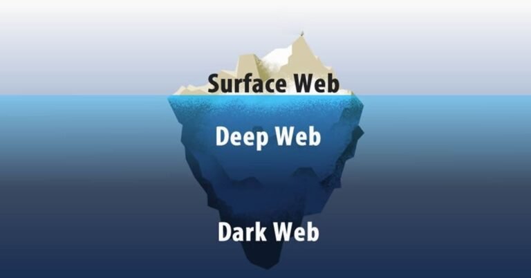 What is the Surface Web