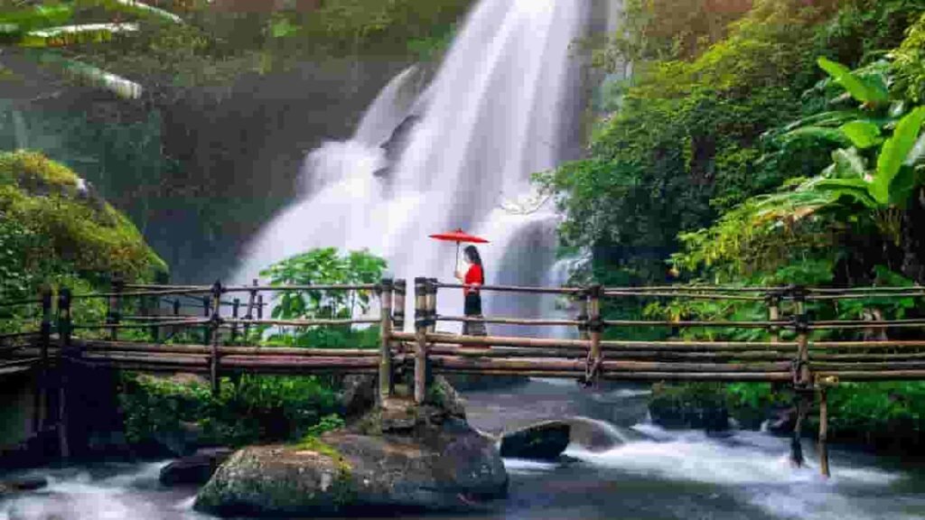 Exploring the 17 Best Ecotourism Destinations in the World