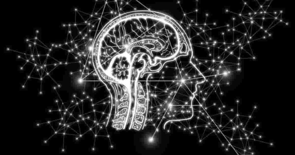 Neuropsychology