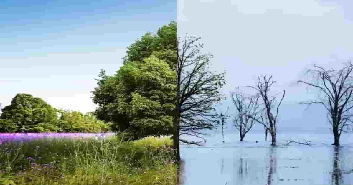 Understanding Climate Change: Causes, Effects, and Solutions