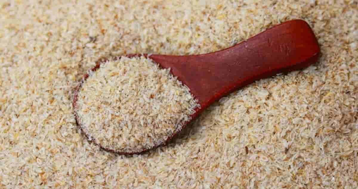 Benefits of Isabgol