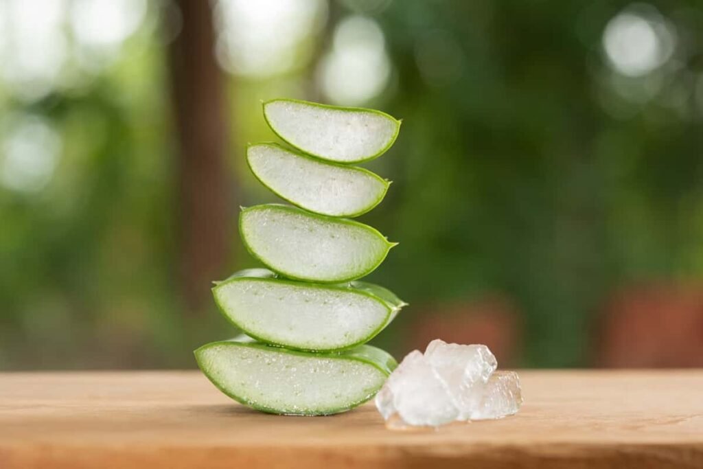 Benefits of Aloe Vera