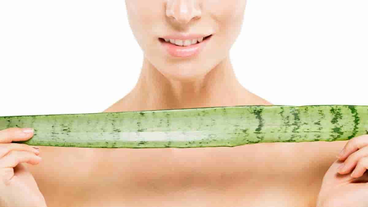 Benefits of Aloe Vera