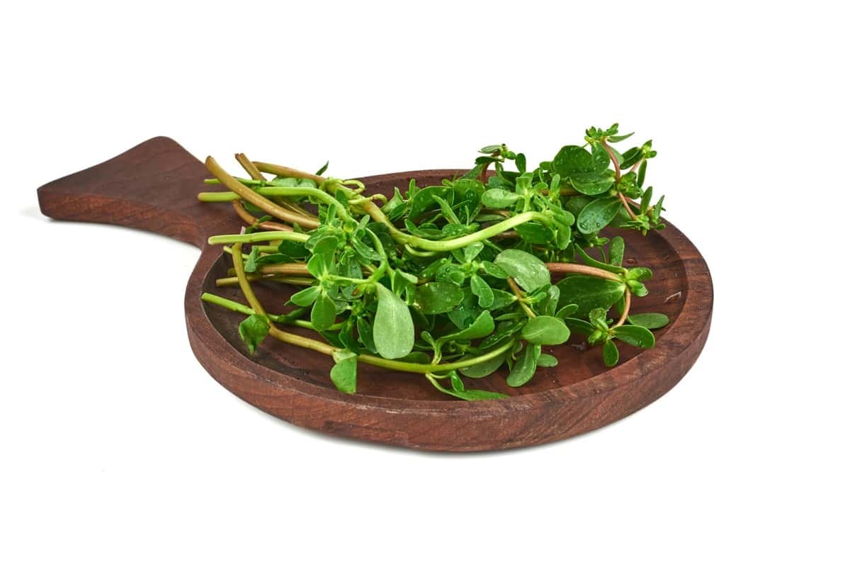 Important Ayurvedic Herbs: Brahmi