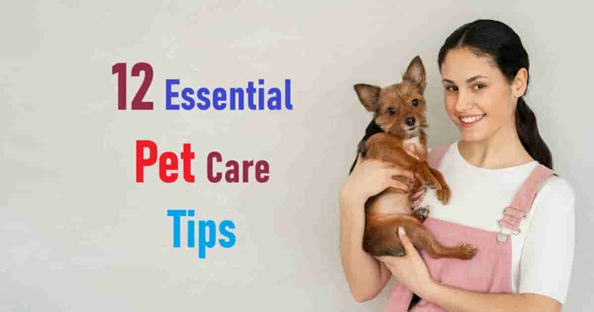 Essential Pet Care Tips