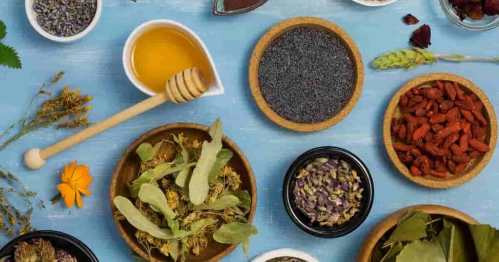 Important Ayurvedic Herbs