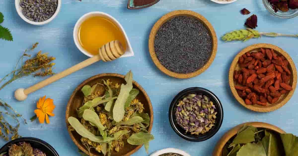 Important Ayurvedic Herbs