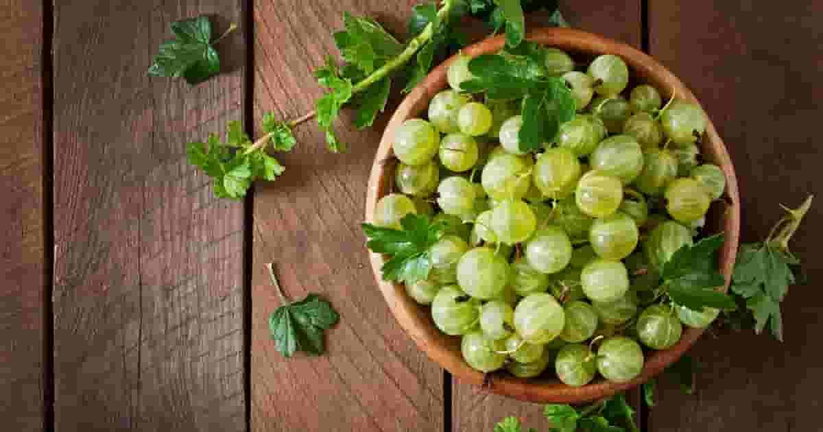 Benefits of Triphala