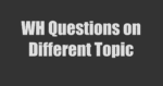 Different English Questions Based on WH