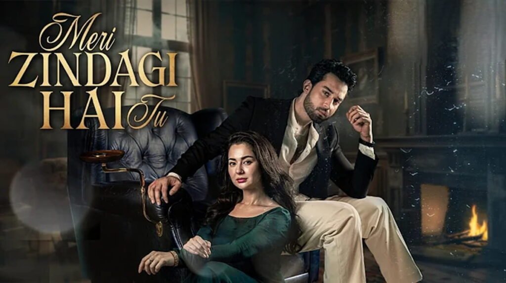 Meri Zindagi Hai Tu Review