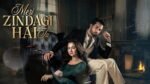 Meri Zindagi Hai Tu Review